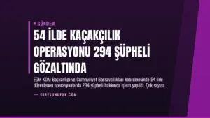 54 İlde Kaçakçılık Operasyonu 294 Şüpheli Gözaltında