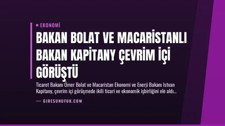 Bakan Bolat ve Macaristanlı Bakan Kapitany Çevrim İçi Görüştü