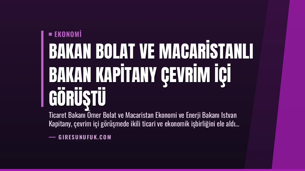 Bakan Bolat ve Macaristanlı Bakan Kapitany Çevrim İçi Görüştü