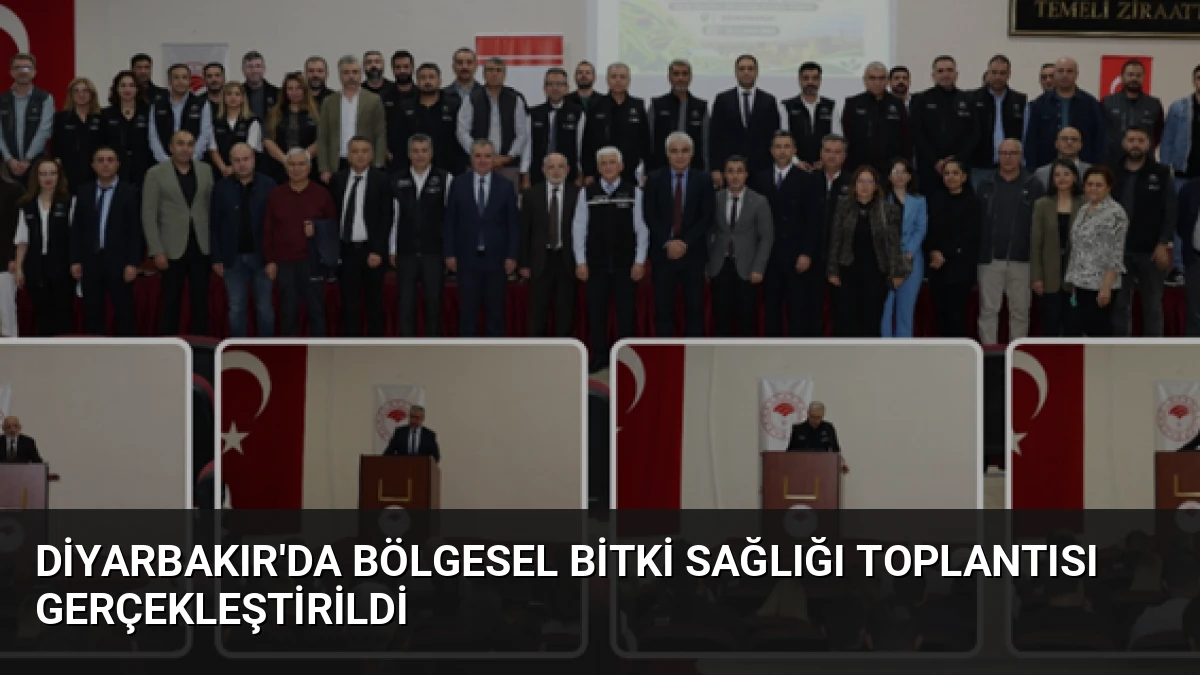 Diyarbakır’da Bölgesel Bitki Sağlığı Toplantısı Gerçekleştirildi