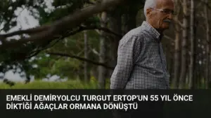 Emekli Demiryolcu Turgut Ertop’un 55 Yıl Önce Diktiği Ağaçlar Ormana Dönüştü