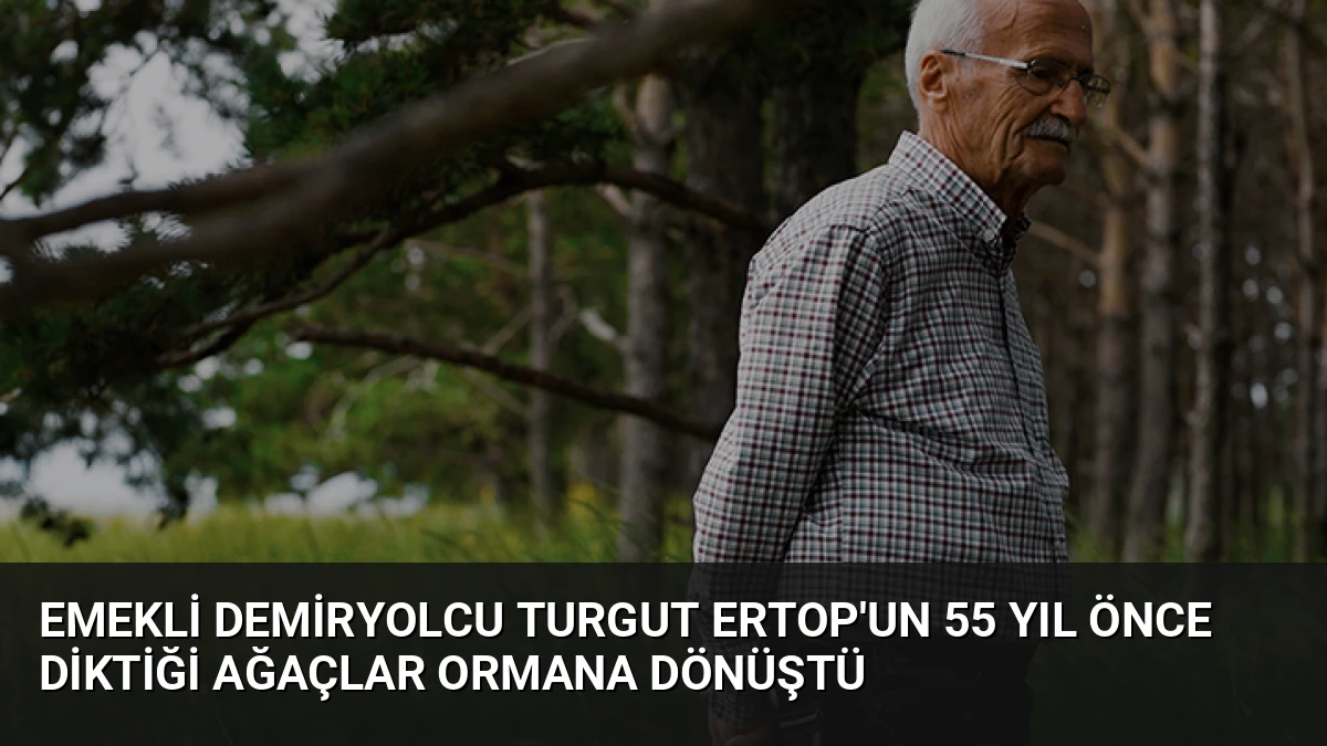 Emekli Demiryolcu Turgut Ertop’un 55 Yıl Önce Diktiği Ağaçlar Ormana Dönüştü