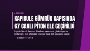 Kapıkule Gümrük Kapısında 67 Canlı Piton Ele Geçirildi