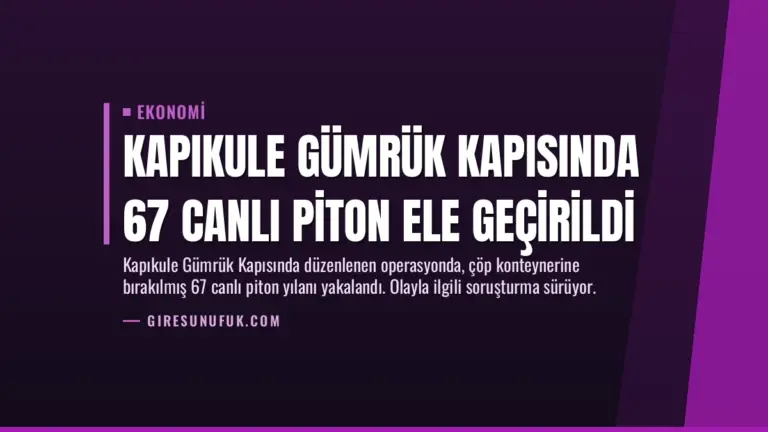 Kapıkule Gümrük Kapısında 67 Canlı Piton Ele Geçirildi