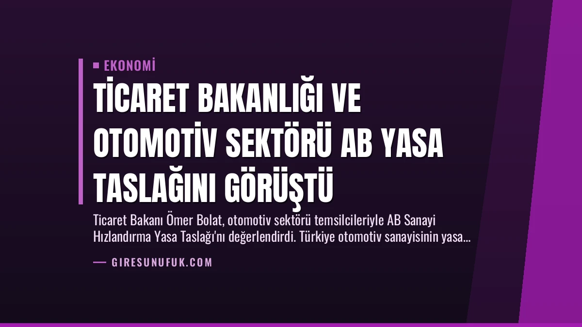 Ticaret Bakanlığı ve Otomotiv Sektörü AB Yasa Taslağını Görüştü