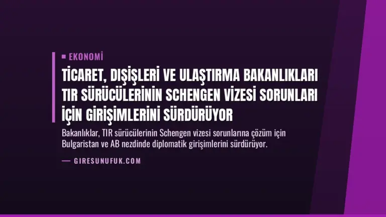 Ticaret, Dışişleri ve Ulaştırma Bakanlıkları TIR Sürücülerinin Schengen Vizesi Sorunları İçin Girişimlerini Sürdürüyor