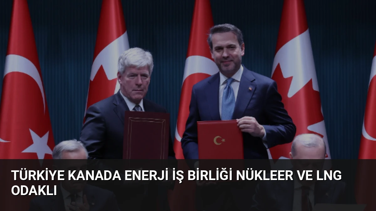 Türkiye Kanada Enerji İş Birliği Nükleer ve LNG Odaklı