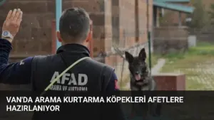 Van'da Arama Kurtarma Köpekleri Afetlere Hazırlanıyor